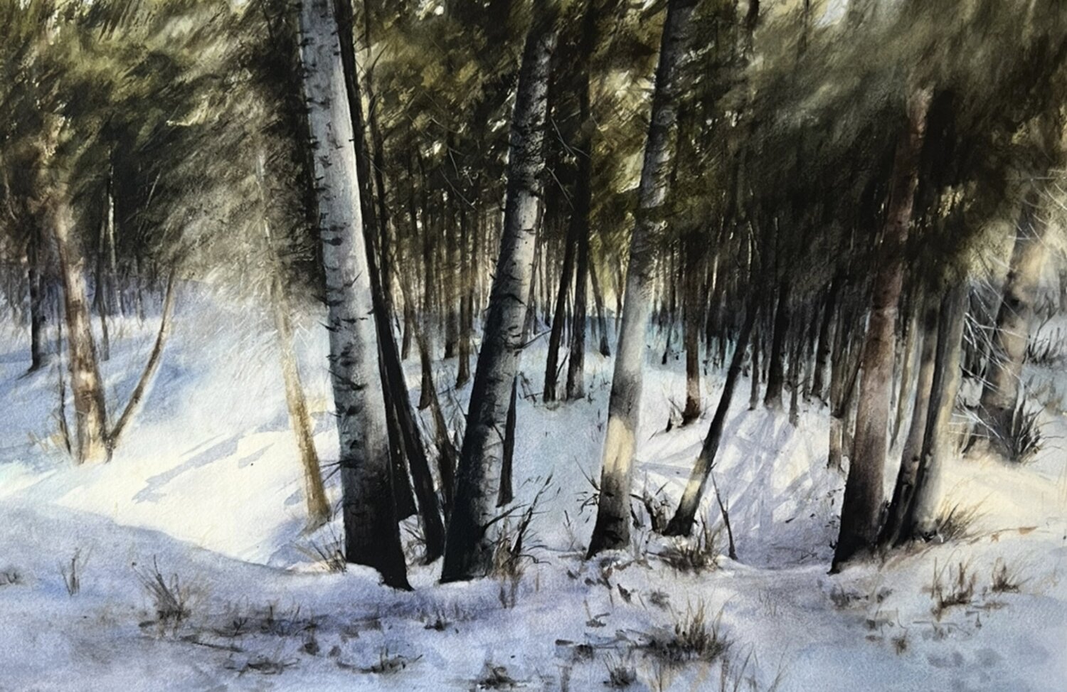 Bäume im Schnee Annett Coumont