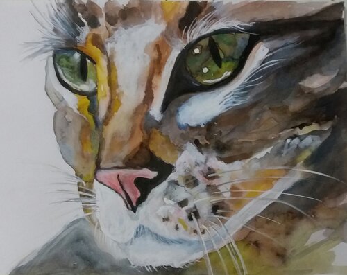 ChatTigre di Ahmed ZAIBI, Pittura in vendita su Singulart