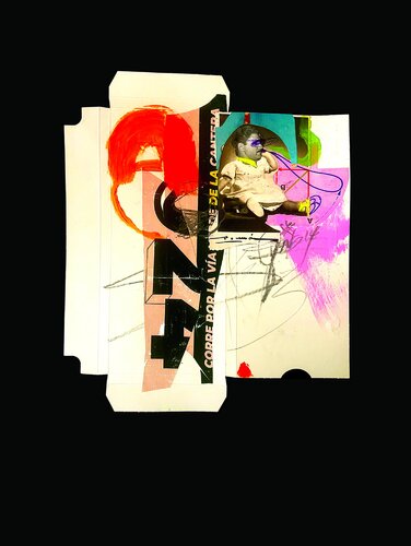 The Secret Life of Errol Flynn von Tom Hawke, Digital kaufen auf Singulart