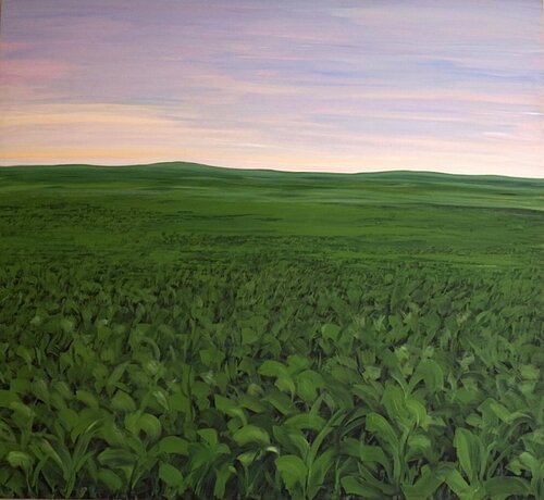 Amanecer y pradera verde Carmen Mira