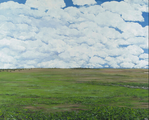 Paisaje verde y cielo emborregado Carmen Mira