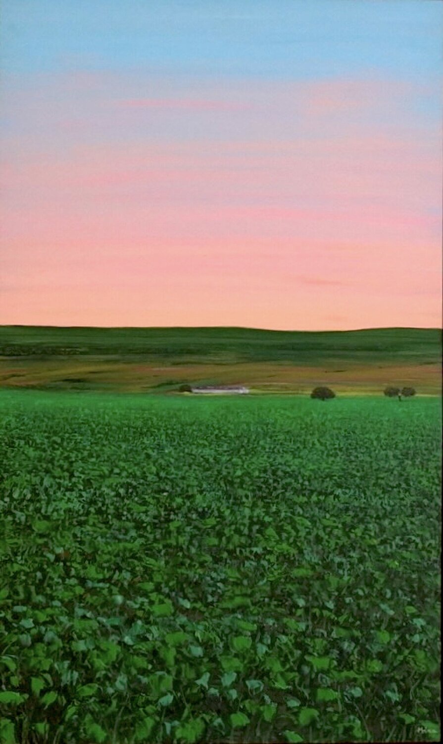 Amanecer Carmen Mira