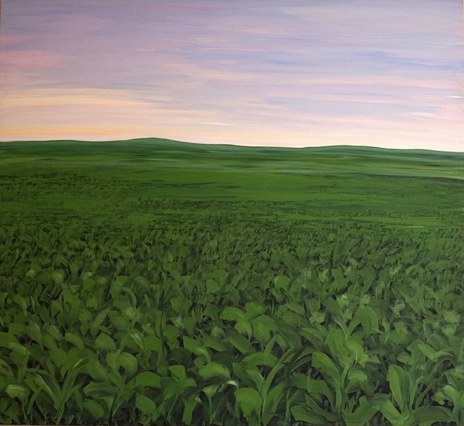 Amanecer y pradera verde Carmen Mira