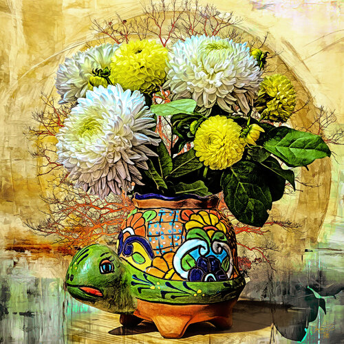Turtle Pot di Dan Lavery, Digitale in vendita su Singulart