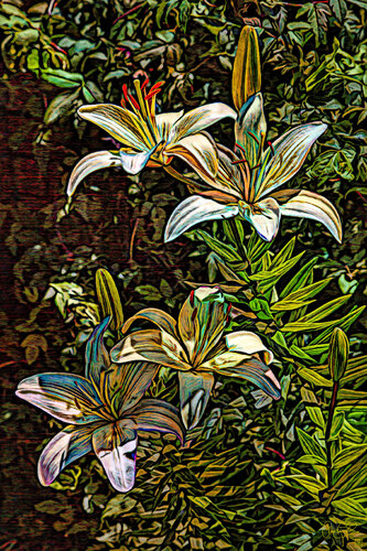 Backyard Lillies di Dan Lavery, Digitale in vendita su Singulart