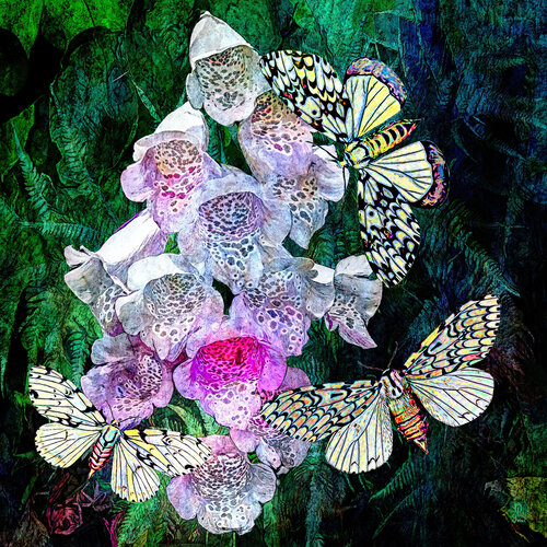 Foxglove And Butterflies di Dan Lavery, Digitale in vendita su Singulart