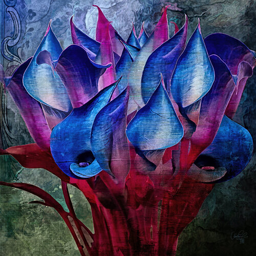 Calla Blue von Dan Lavery, Digital kaufen auf Singulart