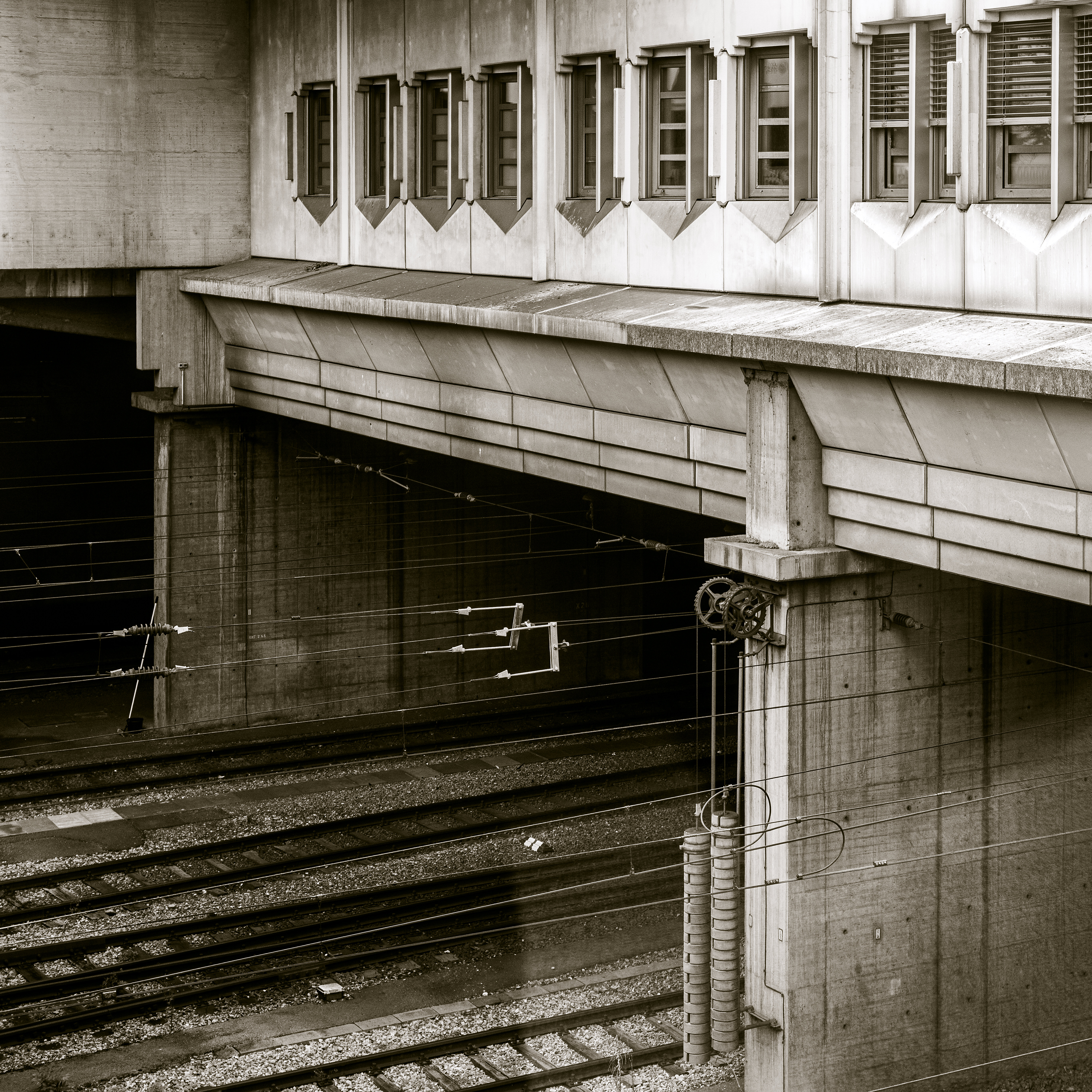 Trenes de la vida