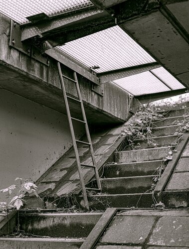 Aufstieg gegen Gitter van Marcel van Beek, Fotografie te koop op Singulart