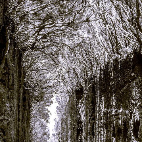 Passage Marcel van Beek