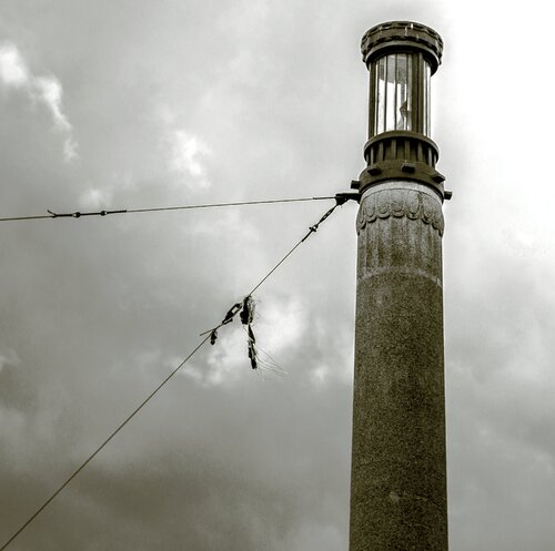 Laterne di Marcel van Beek, Fotografia in vendita su Singulart