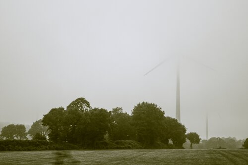 Chor der Flügel (Morgennebel) di Marcel van Beek, Fotografia in vendita su Singulart