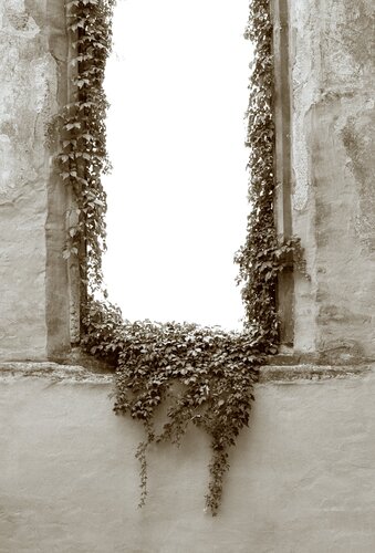 Revision I di Marcel van Beek, Fotografia in vendita su Singulart