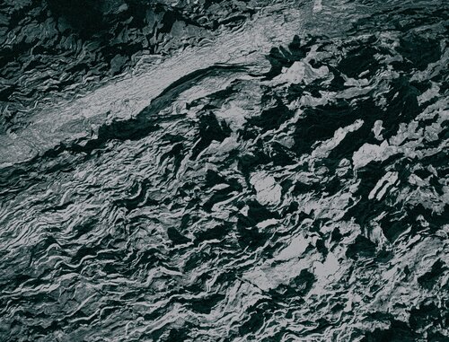 Fossil van Marcel van Beek, Fotografie te koop op Singulart