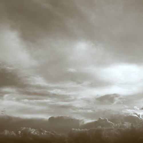 Marcel van Beek