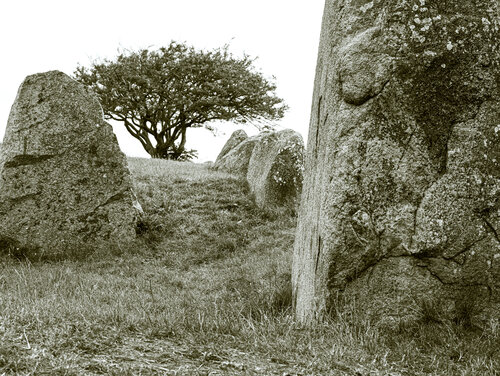 Großsteingrab Riesenberg Marcel van Beek
