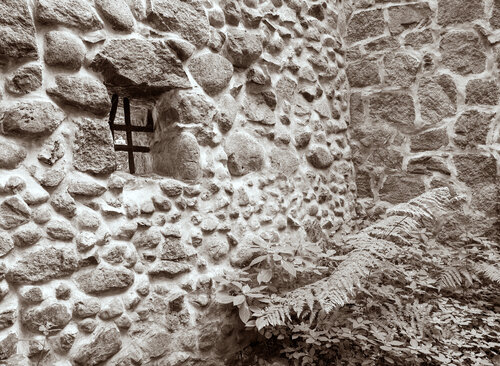 Casa de bruja di Marcel van Beek, Fotografia in vendita su Singulart