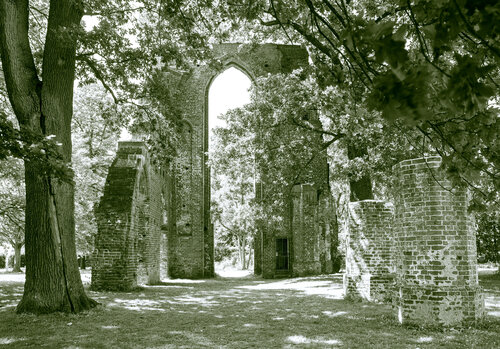 Ruine Eldena Marcel van Beek