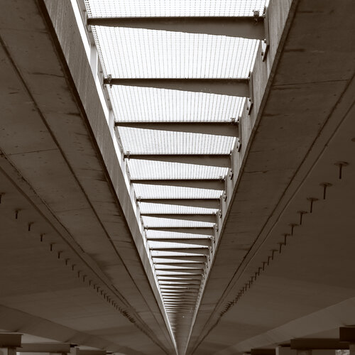 Stahlzähne van Marcel van Beek, Fotografie te koop op Singulart