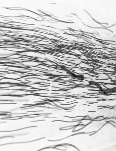 Strom der Gedanken di Marcel van Beek, Fotografia in vendita su Singulart