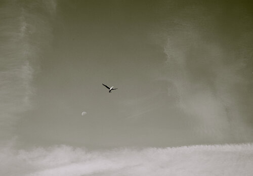 Ikarus mondwärts von Marcel van Beek, Fotografie kaufen auf Singulart