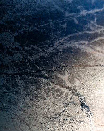 Biomorphe Topographie I: Aderweg by Marcel van Beek, 사진 for Sale on Singulart