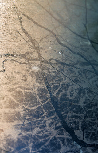 Biomorphe Topographie II: Kapillarfluss von Marcel van Beek, Fotografie kaufen auf Singulart