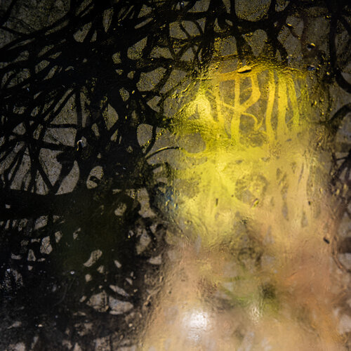 Biomorphe Topographie IV: Lichtschrift Marcel van Beek