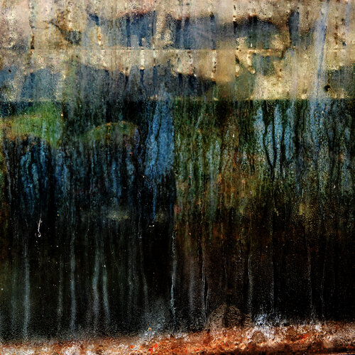 Biomorphe Topographie V: Fensterdelta von Marcel van Beek, Fotografie kaufen auf Singulart