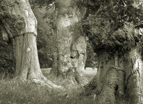 Karbon-Körper II van Marcel van Beek, Fotografie te koop op Singulart