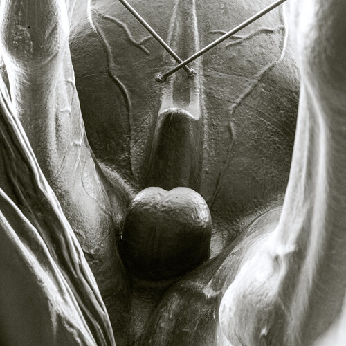 Anatomie eines Denkmals: Der Gegenblick van Marcel van Beek, Fotografie te koop op Singulart