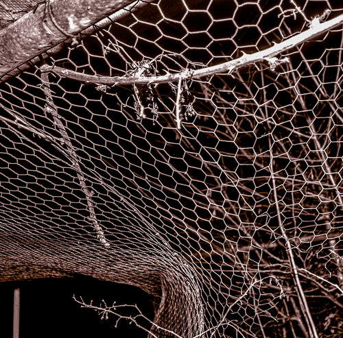 Das Skelett der Nacht IV di Marcel van Beek, Fotografia in vendita su Singulart