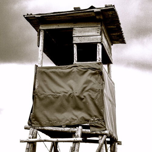 Nach der Jagd di Marcel van Beek, Fotografia in vendita su Singulart