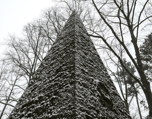 Winterwächterin der stillen Seelen van Marcel van Beek, Fotografie te koop op Singulart