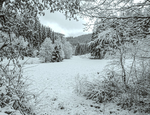 Winteratem Marcel van Beek