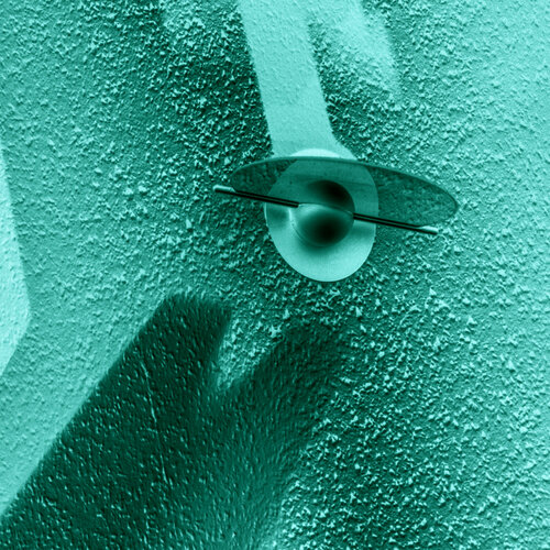 Domestic Orbit di Marcel van Beek, Fotografia in vendita su Singulart
