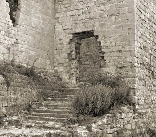 Rudelsburg 7 van Marcel van Beek, Fotografie te koop op Singulart