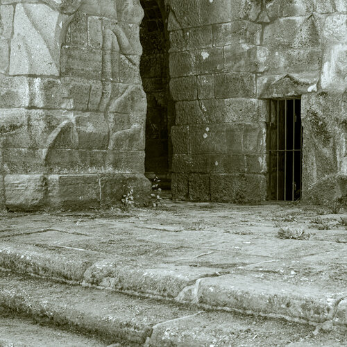 Pluto II par Marcel van Beek, Photographie en vente sur Singulart