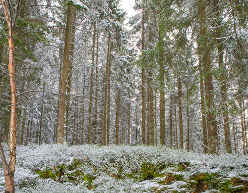 Winterbühne van Marcel van Beek, Fotografie te koop op Singulart