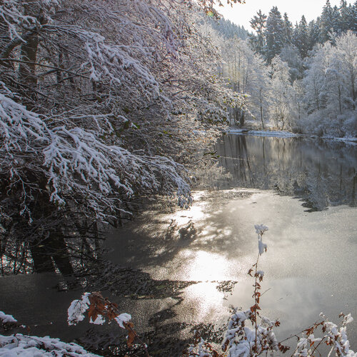 Winterwasser, Winterlicht di Marcel van Beek, Fotografia in vendita su Singulart
