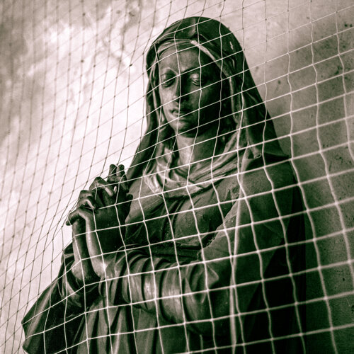 Arachne di Marcel van Beek, Fotografia in vendita su Singulart