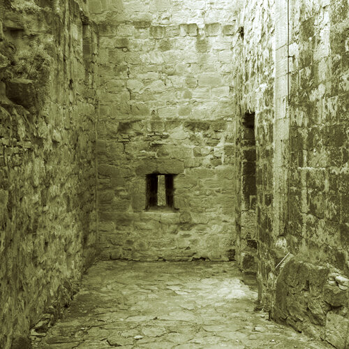 Green Dungeon (Collectors' Edition) di Marcel van Beek, Fotografia in vendita su Singulart