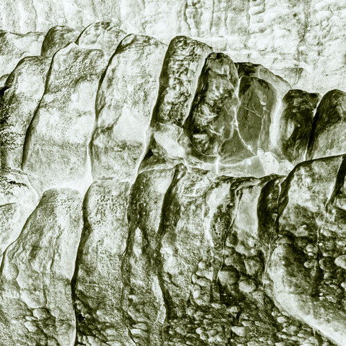 Steinschuppen (Collectors' Edition) von Marcel van Beek, Fotografie kaufen auf Singulart