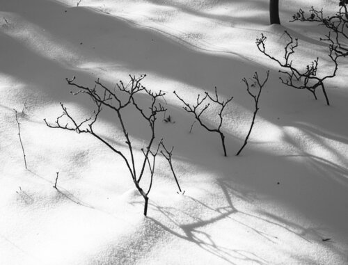 Intervall von Weiß van Marcel van Beek, Fotografie te koop op Singulart