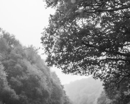 Misted Land in Passing (Collectors' Edition) par Marcel van Beek, Photographie en vente sur Singulart