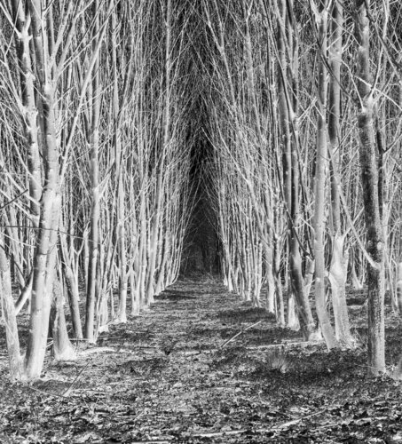 Wir warten auf Dich (Collectors' Edition) by Marcel van Beek, Photography for Sale on Singulart