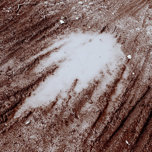 Muddy Inscription (Collectors' Edition) di Marcel van Beek, Fotografia in vendita su Singulart
