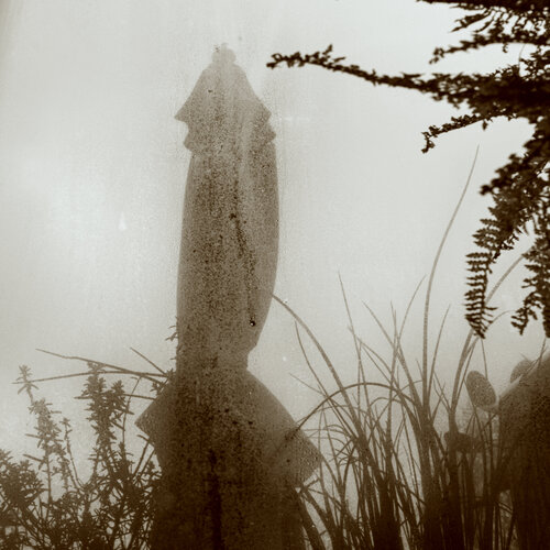 Schirmgeist II di Marcel van Beek, Fotografia in vendita su Singulart