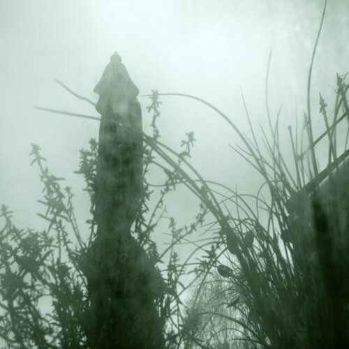 Schirmgeist III di Marcel van Beek, Fotografia in vendita su Singulart