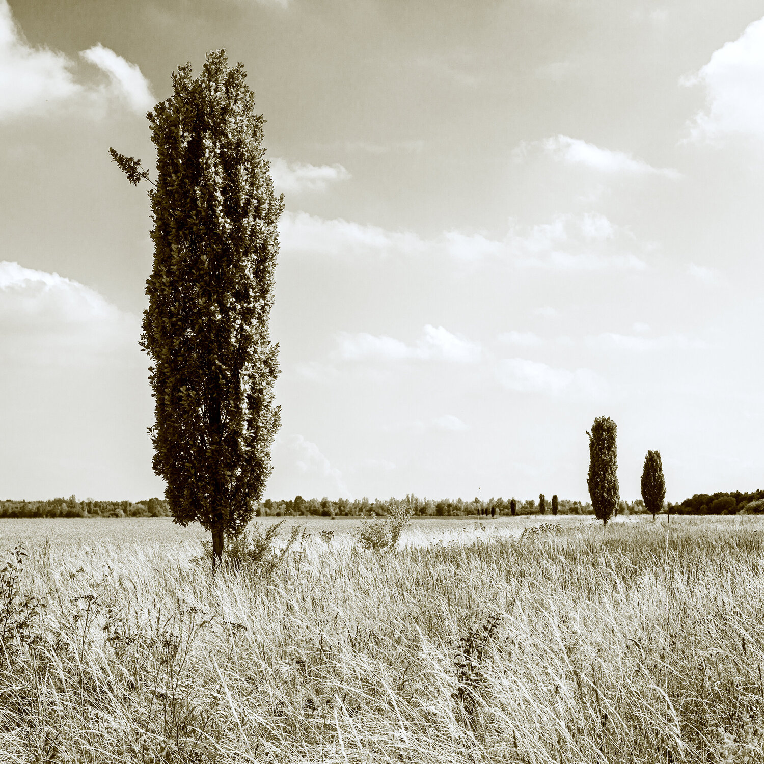 Weg zur Anderwelt II Marcel van Beek